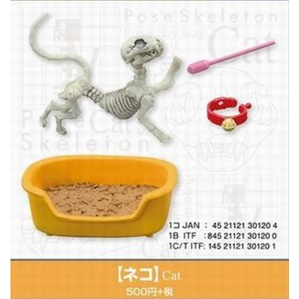 [����̷���] ������ [9���԰��Ϸ�] [4521121301204]