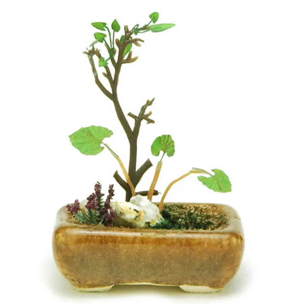 1/12 �� ���� ���� ȭ�� ��ƽɱ�(����) [2���԰��Ϸ�] [4545782017724]