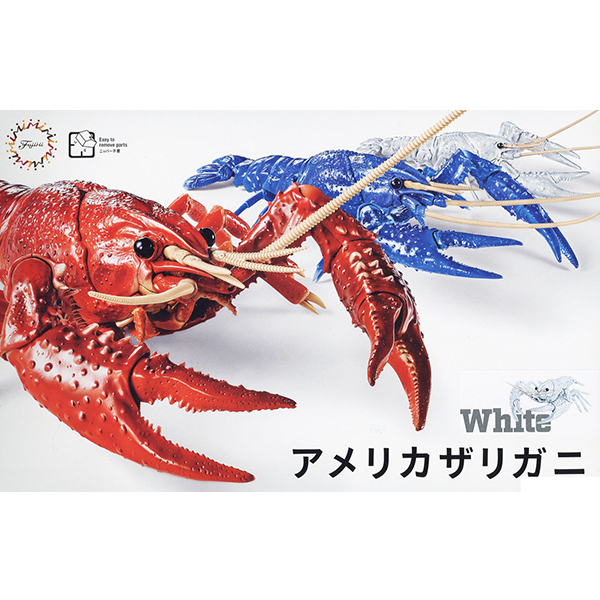 �������� �ø��� ������ - �̱� ����(ȭ��Ʈ) [2���԰��Ϸ�] [4968728170886]