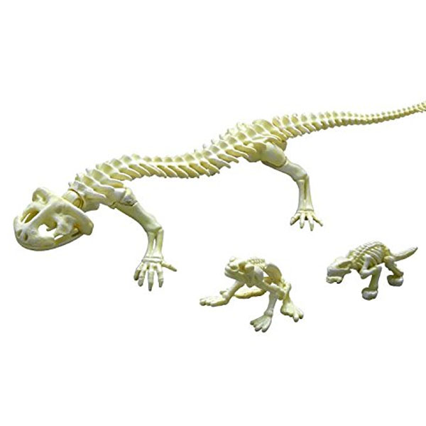 [����̷���] ����� �缭�� No.204 �Ϻ�������洨 [11���԰��Ϸ�] [4521121300986]