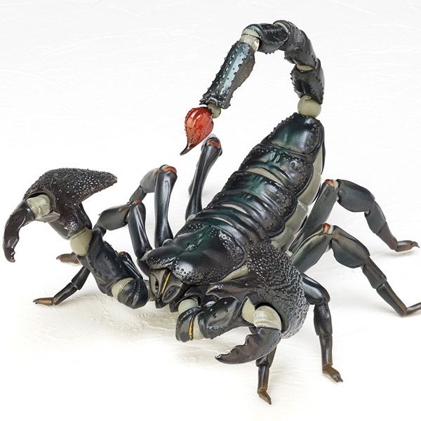 [������] ���� Ȳ������ [5���԰��Ϸ�] [4537807170002]