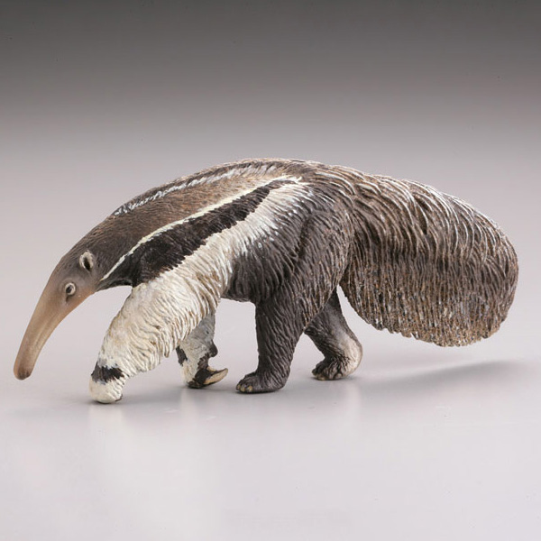 [����] ���ϵ巯�� �� ���� ���� ����II �� 2�� ���Ƹ޸�ī �Ƹ��� �� - �����ӱ�  [6���԰��Ϸ�] [4537807082336]