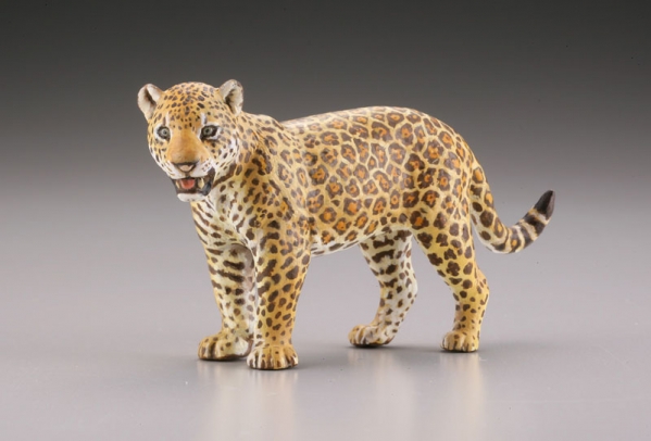 [����] ���ϵ巯�� �� ���� ���� ����II �� 2�� ���Ƹ޸�ī �Ƹ��� ��- ��Ծ� [6���԰��Ϸ�] [4537807082336]