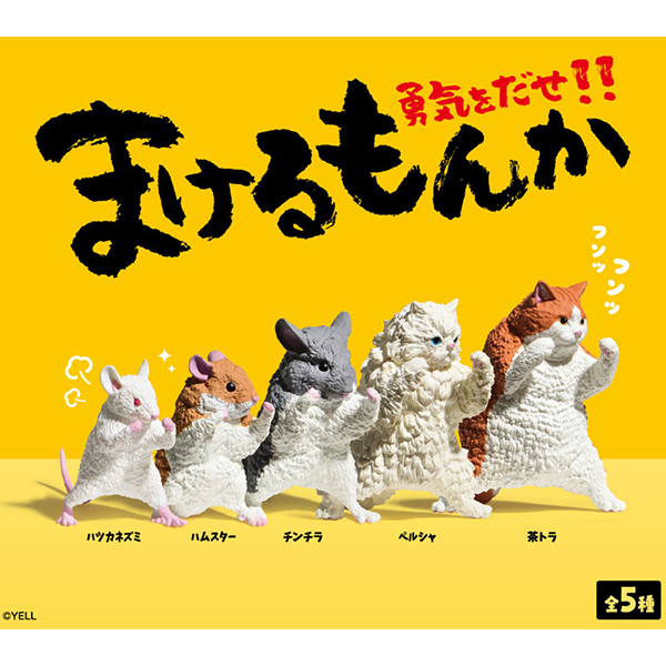 �����(1�ڽ�10����) [11���԰��Ϸ�] [4570198773315]