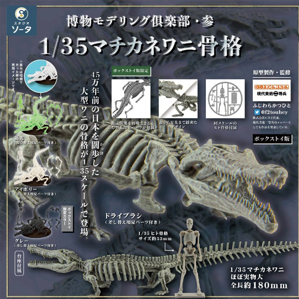 �ڹ��� �𵨸� Ŭ�� 1/35 ��ġī�׾Ǿ�(���Ÿ���Ǹ��̾�) ���(1�ڽ�4����) [10���԰��Ϸ�] [4582361787548]