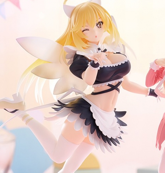 � ������ �������� ��̳���Ÿ ����ȣ �̻�Ű(Ÿõ�� ���̵�) [12���԰��Ϸ�] [4582733456874]