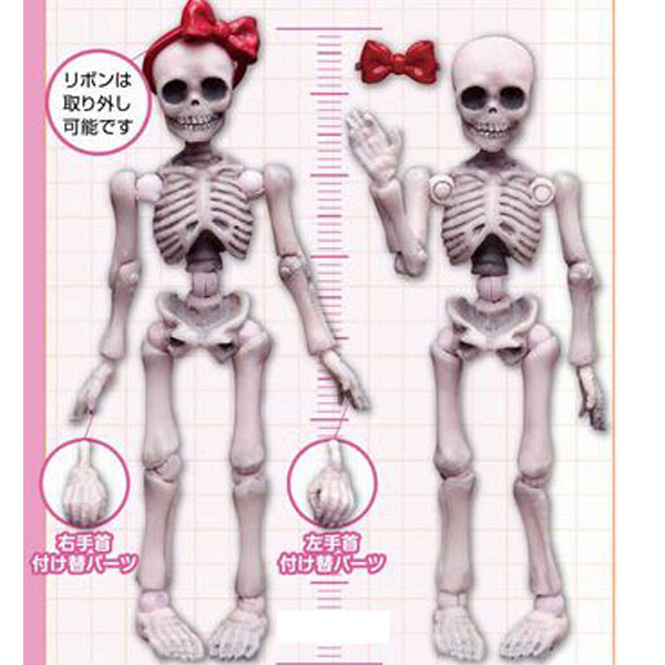 ����̷��� ���04 �Ϳ��� ��� [3���԰��Ϸ�] [4521121301303]