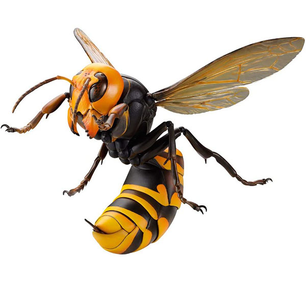 REVO GEO ������� [10���԰��Ϸ�] [4537807170064]