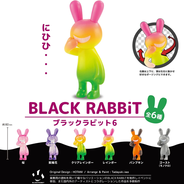 ���� ����6(1�ڽ�6����) [4���԰��Ϸ�] [4582779490559]