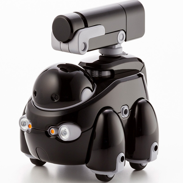 1/12 ���������� - Ÿ���� ����Ver. [3���԰��Ϸ�] [4934054020836]