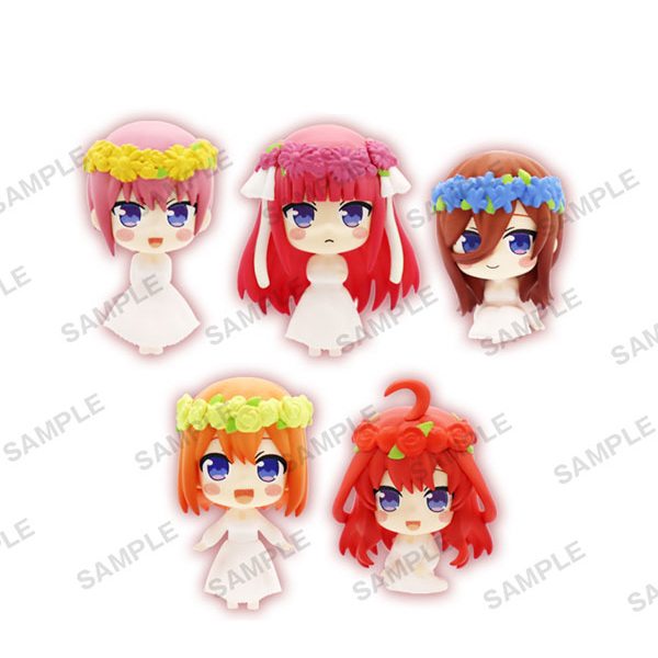 5����� �źΡ� �ݷ��� �ǱԾ�(1�ڽ�6����) [3���԰��Ϸ�] [4582520218364]