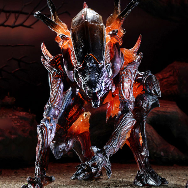 7��ġ �׼��ǱԾ� ���̳� ���ϸ��� [2���԰��Ϸ�] [4580017814976]