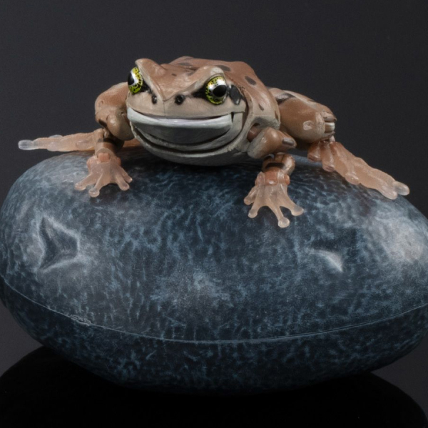 [����] ���� �뵵�� û������(���) [9���԰��Ϸ�] [4549660971290]