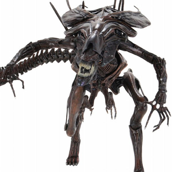 ���ϸ��� 7��ġ �ǱԾ� �ø��� ��Ʈ�� �𷰽�:���ϸ���4 - ���ϸ��� �� [10���԰��Ϸ�] [4580017800832]