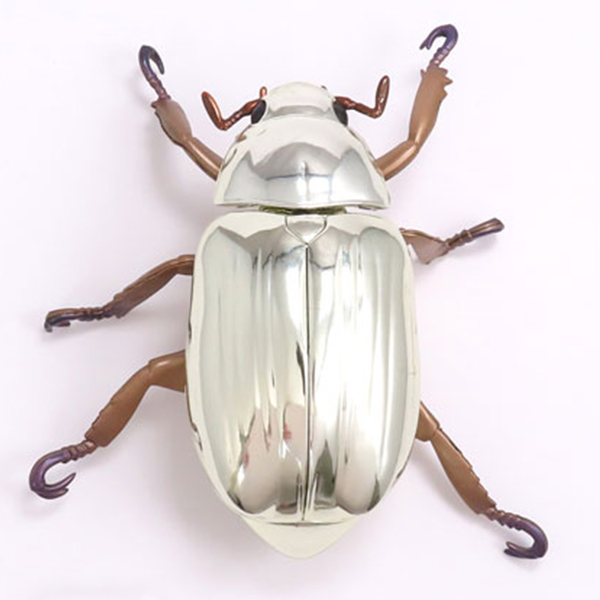 �÷�Ƽ�� �ڰ���(����Ÿ �ö�Ƽ�� �ڰ���) [4���԰��Ϸ�] [4580614271295]