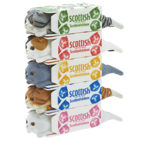 [�����߼�] ����Ƽ�� Ƽ��(1�������߼�) [12���԰��Ϸ�] [4580275177318]