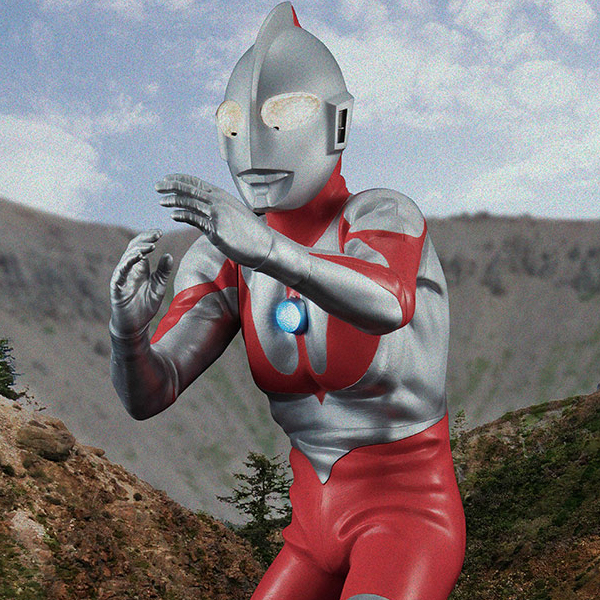 Ultimate Article ��Ʈ���(Ÿ��C) [1���԰��Ϸ�] [4535123831454]