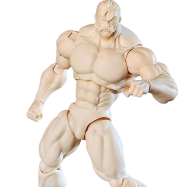 1/12  ������ ���� ��ü KT01A ȭ��Ʈ ��Ų [3���԰��Ϸ�] [4589565821306]