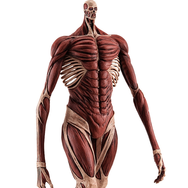 [�˾��۷��̵�] ������ ���� - �ʴ��� ���� Ver.L ������ [11���԰��Ϸ�] [4580416947473]