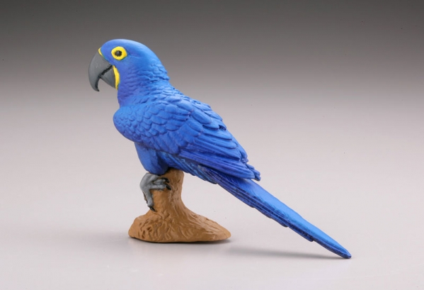 [����] ���ϵ巯�� �� ���� ���� ����II �� 2�� ���Ƹ޸�ī �Ƹ��� ��- ���� �ײ� [6���԰��Ϸ�] [4537807082336]