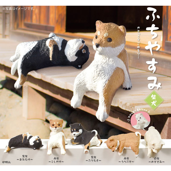 ��ġ�߽��� �ùٰ�(1�ڽ�10����) [6���԰��Ϸ�] [4570198782850]