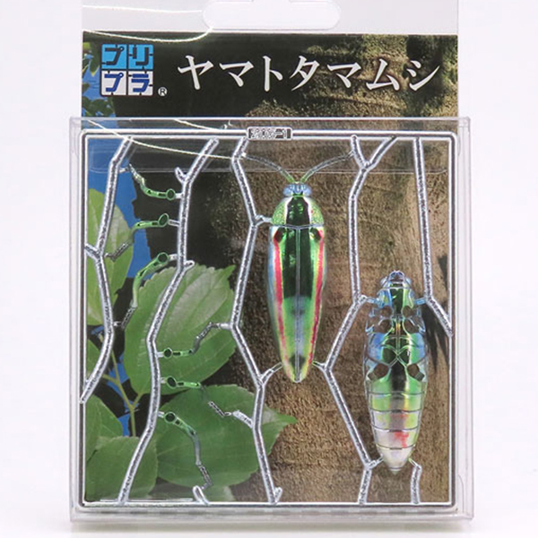 �������� ��ܹ��� [4���԰��Ϸ�] [4580614270540]