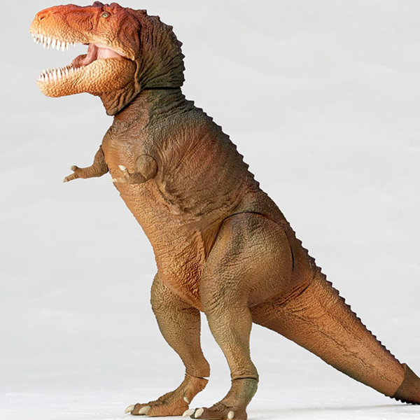 ������ �ڽ� 018C Ƽ�����罺(Ŭ���� �̹��� �÷�) [9���԰��Ϸ�] [4537807003454]