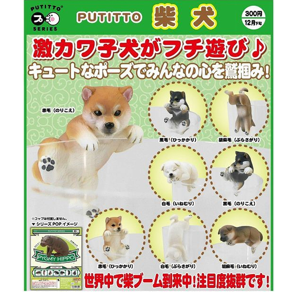 [�����߼�] PUTITTO �ø��� �ùٰ�(1�������߼�) [2���԰��Ϸ�] [4580275179084]