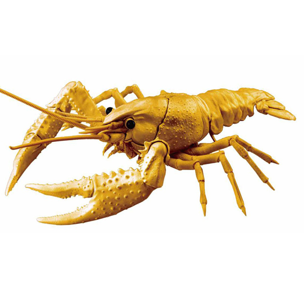 �������� �ø��� ������ - �̱� ����(���) [7���԰��Ϸ�] [4968728171081]