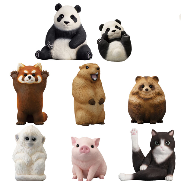 �չٴ� ģ���� 9ź(1�ڽ�12����) [8���԰��Ϸ�] [4549660957775]