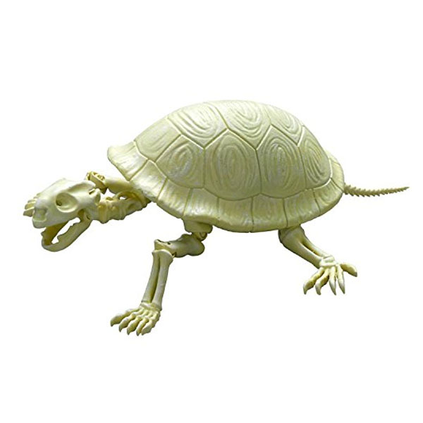 [����̷���] ����� �缭�� No.202 �Ŵ� �ź��� [11���԰��Ϸ�] [4521121300948]