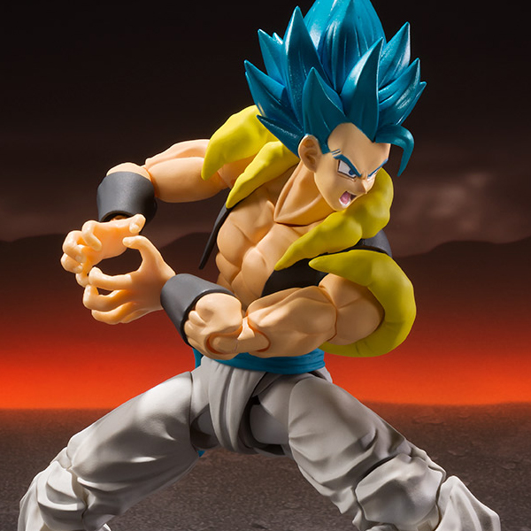 [S.H.Figuarts] �巡�ﺼ ���� ��θ� - ���� ���̾��� �� ���ۻ��̾��� ������ [5���԰��Ϸ�] [4573102554086]