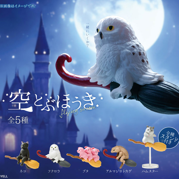 �ϴó��º��ڷ�(1�ڽ�10����) [8���԰��Ϸ�] [4570198783314]