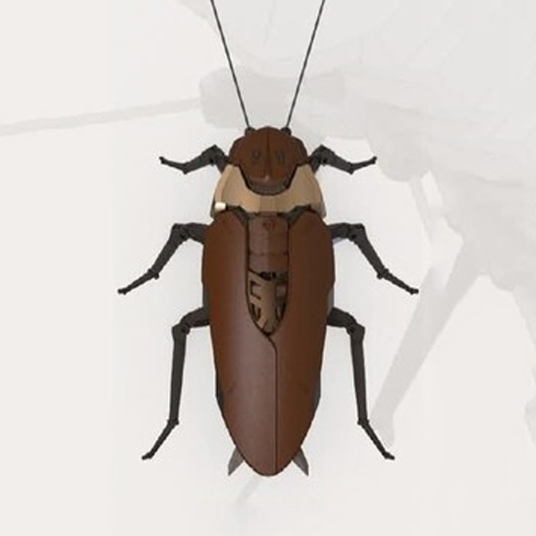 �������� ����� [2���԰��Ϸ�]