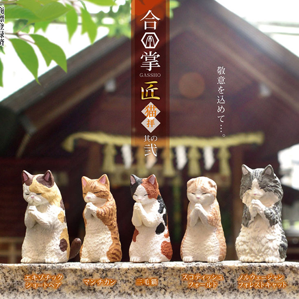 ���� ���� ���� 2ź(1�ڽ�10����) [3���԰��Ϸ�] [4570198779621]