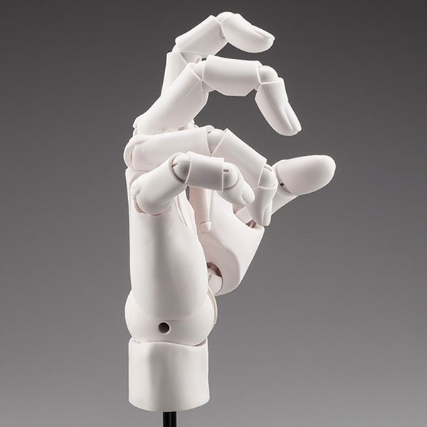 1/1 ��Ƽ��Ʈ ����Ʈ ������ �ڵ� ��/R-ȭ��Ʈ [4934054054558]