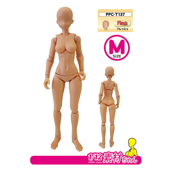 PPC-T137 �����̾� ���� �ݷ��� ������EX 1/12 ����»M ������ [12���԰��Ϸ�] [4534966004728]