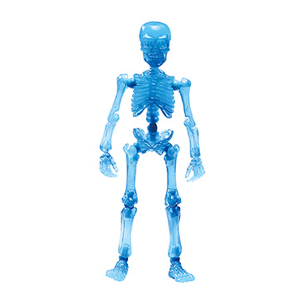 ����̷��� ū��� �÷� �ø���(����) [9���԰��Ϸ�] [4521121301525]