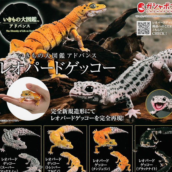 ���� �뵵�� ��庥�� �����ĵ� ���� 4�� ��Ʈ [11���԰��Ϸ�] [4570117962394]