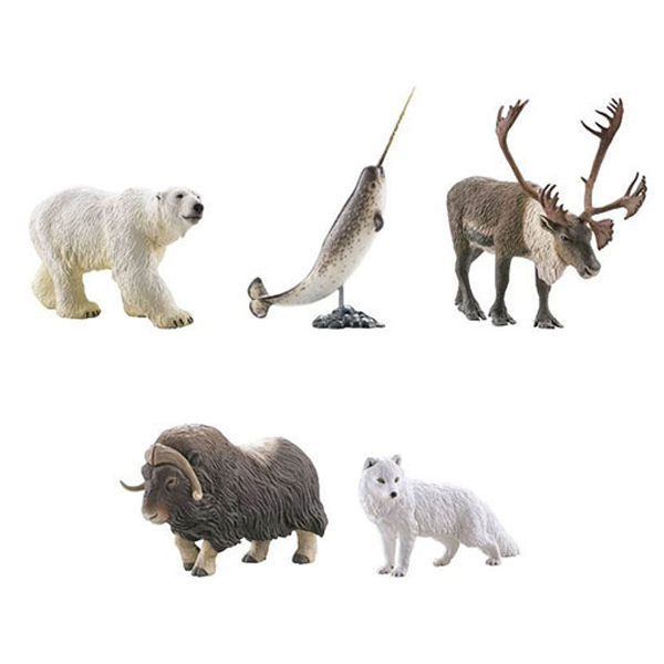 ���ϵ巯�� �� ���� ���� ����II �� 3�� ����.�ϱ� ��(1�ڽ�8����) [9���԰��Ϸ�] [4537807022134]