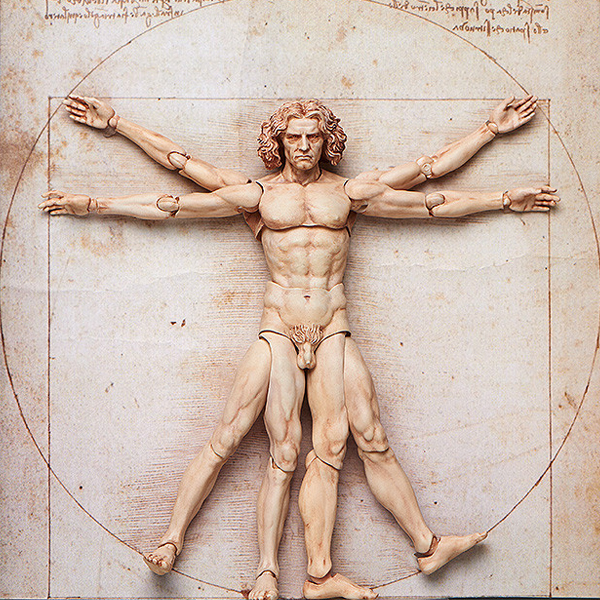 [�Ǳ׸�] ���̺� �̼��� - ��Ʈ���콺�� ��ü�� [11���԰��Ϸ�] [4570001510434]