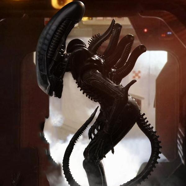 1/12 ���ϸ��� �� ü�� [2���԰��Ϸ�] [4580017833588]