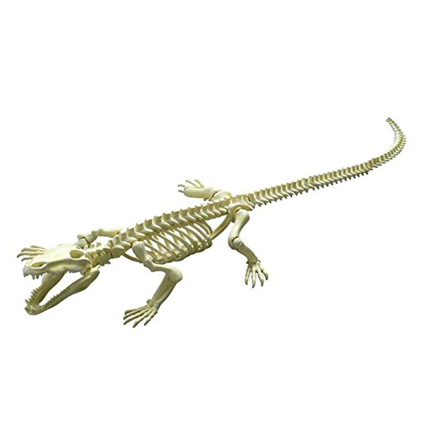 [����̷���] ����� �缭�� No.201 �Ǿ� [11���԰��Ϸ�] [4521121300924]