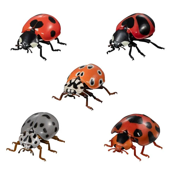 [�����߼�] ���� �뵵�� ���꽺 ������� 2ź(1�������߼�)