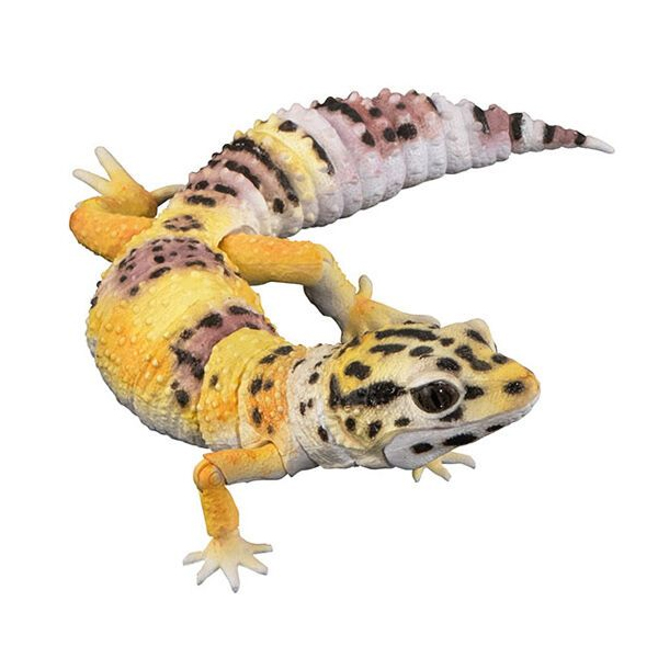 ���� �뵵�� ��庥�� ����Ƽ�� ����� �����ĵ����(���̿���) [4���԰��Ϸ�] [4570118196033]