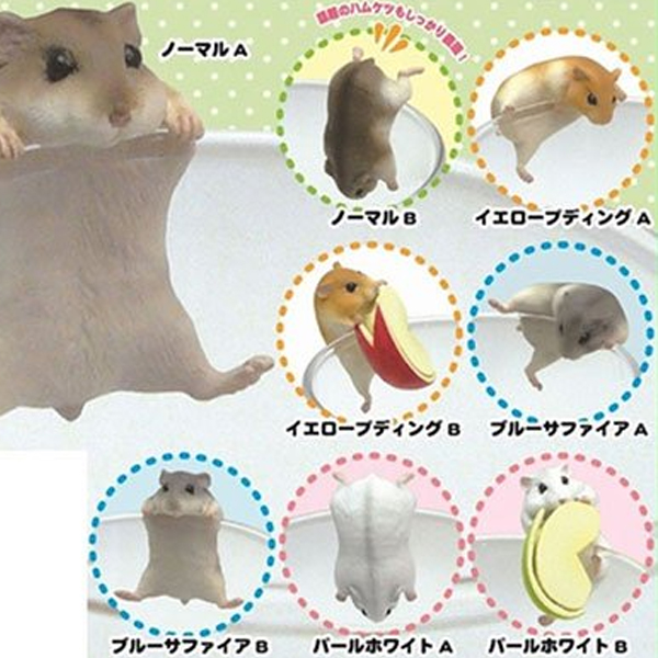 [�����߼�] PUTITTO �ܽ���(1�������߼�) [4���԰��Ϸ�] [4580275175314]