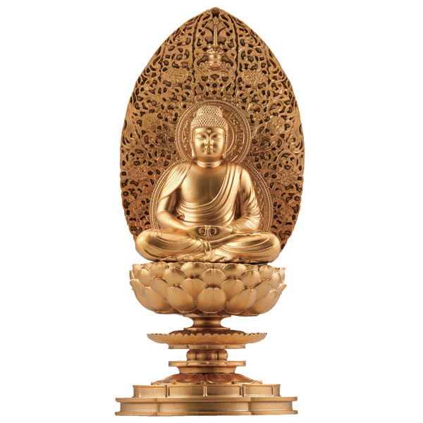 �̼���ǰ ��ü���� �ƹ�Ÿ�����»� [11���԰��Ϸ�] [4589573461020]