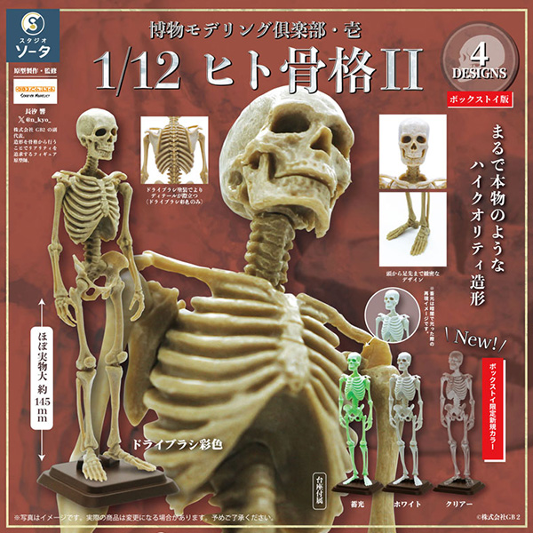 �ڹ� �𵨸� ������1 1/12 �ΰ� ���2(1�ڽ�4����) [11���԰��Ϸ�] [4582779494137]