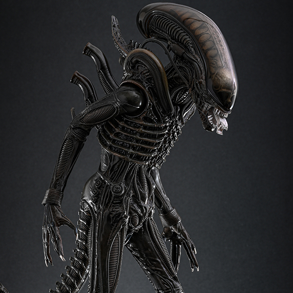 MMS826 1/6 ���ϸ��� - ��é