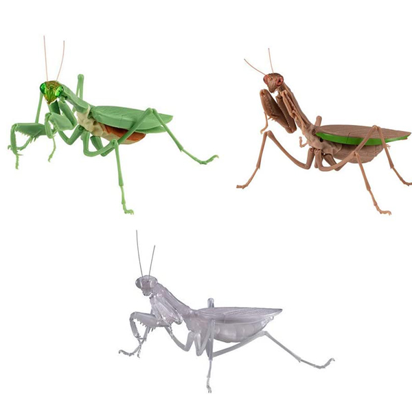 ĸ������ �縶�� 3�� ��Ʈ [1���԰��Ϸ�] [4549660473572]